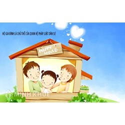 Hộ gia đình, tổ hợp tác và các tổ chức không có tư cách pháp nhân trong quan hệ dân sự.