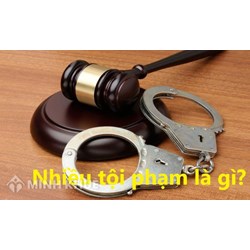 Nhiều tội phạm là gì? Vì sao cần hiểu đúng nhiều tội phạm là gì?