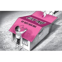 Giao dịch dân sự vô hiệu do không tuân thủ về hình thức, do người mất năng lực hành vi dân sự xác lập