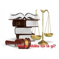 Phạm nhiều tội là gì? Các hình thức biểu hiện của phạm nhiều tội là gì?