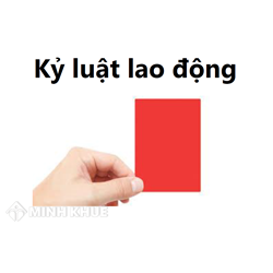 Tải các biểu mẫu liên quan đến xử lý kỷ luật lao động bản tiếng anh mới nhất