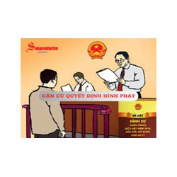 Các căn cứ quyết định hình phạt theo Điều 50 Bộ Luật Hình sự