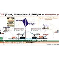 Quy định của Incoterms về điều kiện CIF, CFR, CIP và CPT chi tiết