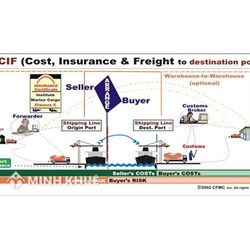 Quy định của Incoterms về điều kiện CIF, CFR, CIP và CPT chi tiết