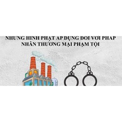 Các hình phạt đối với pháp nhân thương mại phạm tội theo BLHS