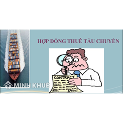 Các trường hợp chấm dứt hợp đồng vận chuyển theo chuyến trong vận chuyển hàng hóa bằng đường biển và xác định hình huống thực tế.
