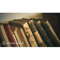 Tìm hiểu nguồn của luật hình sự giai đoạn từ năm 1985 đến năm 1999