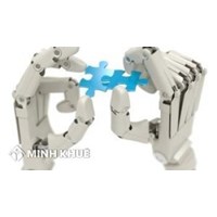 Xác lập quyền sở hữu trong trường hợp sáp nhập, trộn lẫn, chế biến