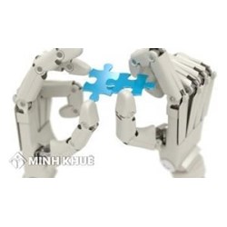 Xác lập quyền sở hữu trong trường hợp sáp nhập, trộn lẫn, chế biến