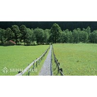 Quyền đối với bất động sản liền kề là gì? Quyền này được xác lập như thế nào?