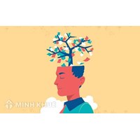 Đặc điểm tổ chức và hoạt động bổ trợ tư pháp là gì?