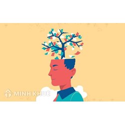 Đặc điểm tổ chức và hoạt động bổ trợ tư pháp là gì?