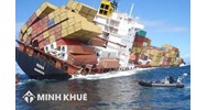 Xác định trách nhiệm của các bên khi việc khởi hành của tàu bị chậm trễ trong hợp đồng vận chuyển theo chuyến