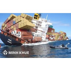 Xác định trách nhiệm của các bên khi việc khởi hành của tàu bị chậm trễ trong hợp đồng vận chuyển theo chuyến