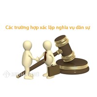 Nghĩa vụ dân sự phát sinh dựa trên những căn cứ nào?