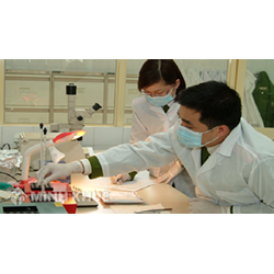 Thủ tục thực hiện giám định tư pháp là gì?