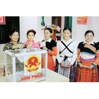 Chế độ bầu cử đa số và phân loại chế độ bầu cử đa số?