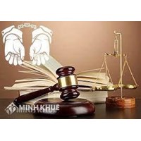 Nguyên tắc áp dụng tương tự pháp luật và nguyên tắc áp dụng pháp luật tại thời điểm xảy ra hành vi được hiểu như thế nào?