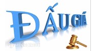 Xử lý tài sản đảm bảo theo phương thức bán đấu giá