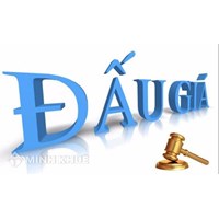 Xử lý tài sản đảm bảo theo phương thức bán đấu giá