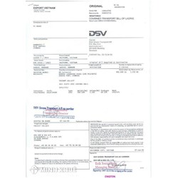 So sánh vận đơn đường biển (Ocean B/L) và giấy gửi hàng đường biển (Waybill)?