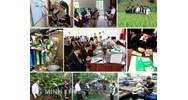 Những yếu tố nào ảnh hưởng đến sự hình thành hệ thống chính sách xã hội tại Việt Nam?