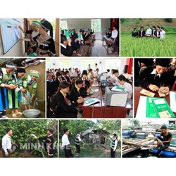 Những yếu tố nào ảnh hưởng đến sự hình thành hệ thống chính sách xã hội tại Việt Nam?