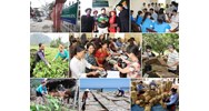 Vài nét về quy trình hoạch định chính sách xã hội 