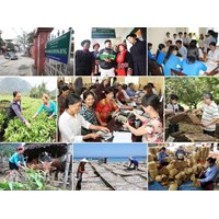 Vài nét về quy trình hoạch định chính sách xã hội 
