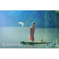 Mối quan hệ giữa tự do với Nhà nước và pháp luật?