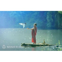 Mối quan hệ giữa tự do với Nhà nước và pháp luật?