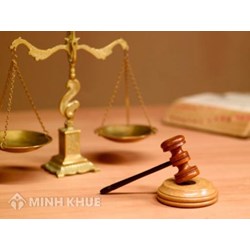 Một số mô hình bảo hiến hiện nay đang tồn tại?