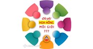 Chủ thể phải trả hoa hồng cho môi giới thuê tàu?