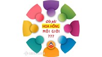 Chủ thể phải trả hoa hồng cho môi giới thuê tàu?