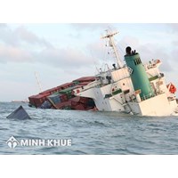 Chủ thể phân bổ những tổn thất chung trên thế giới và ở Việt Nam 
