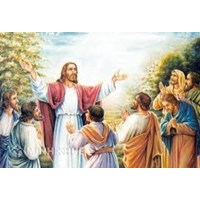 Phân tích đặc điểm và sức mạnh của tôn giáo trong đời sống xã hội
