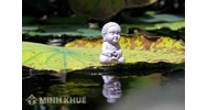 Ảnh hưởng của các quy luật tự nhiên và luật lệ tôn giáo đến luật pháp quốc gia.