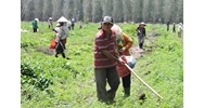Xác định giá và thời hạn thuê khoán như thế nào? Phân biệt hợp đồng thuê với hợp đồng thuê khoán