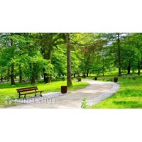 Trưng dụng đất là gì? Tìm hiểu quy định pháp luật hiện hành về trưng dụng đất