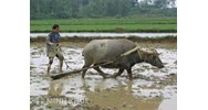 Quyền và nghĩa vụ của bên cho thuê khoán trong hợp đồng thuê khoán tài sản