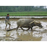 Quyền và nghĩa vụ của bên cho thuê khoán trong hợp đồng thuê khoán tài sản