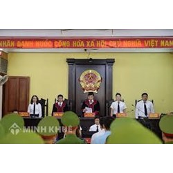 Tổ chức của tòa án được quy định như thế nào trong hiến pháp ?