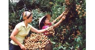 Thực hiện công việc không có ủy quyền phải đáp ứng các yêu cầu gì?