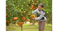 Nghĩa vụ của người thực hiện công việc không có ủy quyền là gì?