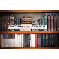 Vô hiệu điều ước quốc tế là gì? Hệ quả pháp lý của vô hiệu điều ước quốc tế là gì?