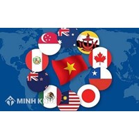 Các bước ký kết đàm phán điều ước theo Công ước Viên 1969 là gì?