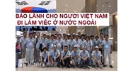 Tìm hiểu quy đinh về bảo lãnh cho người Việt Nam đi làm việc ở nước ngoài theo hợp đồng