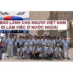 Tìm hiểu quy đinh về bảo lãnh cho người Việt Nam đi làm việc ở nước ngoài theo hợp đồng