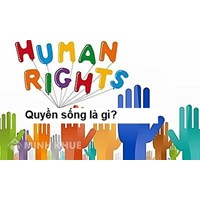 Quyền sống là gì? Tìm hiểu quyền sống trong pháp luật quốc tế và pháp luật Việt Nam