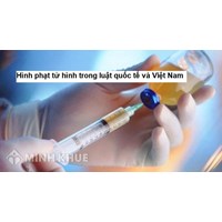 Hình phạt tử hình trong pháp luật quốc tế và thực tiễn? Tương thích của pháp luật Việt Nam với pháp luật quốc tế về hình phạt từ hình?